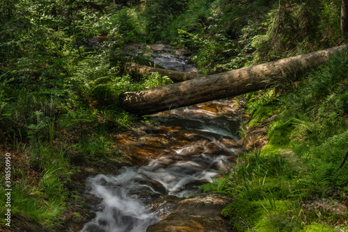 Small waterfall on Divoky creek near Kouty nad Desnou village in summer day