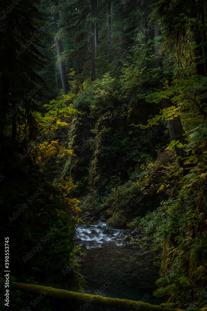 Gorge Us