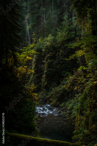 Obraz na płótnie Gorge Us w salonie