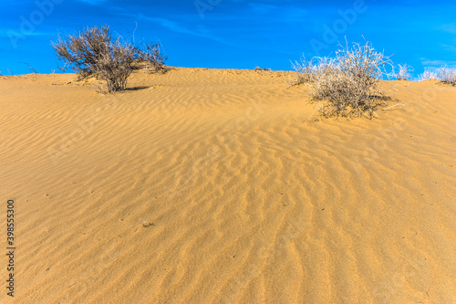 sand dune in the Karakum desert. Turkmenistan