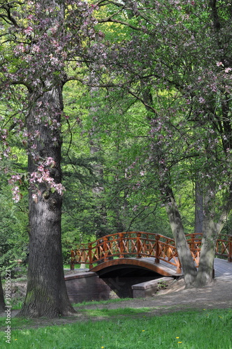 Szczytnicki Park in Wroclaw, Poland