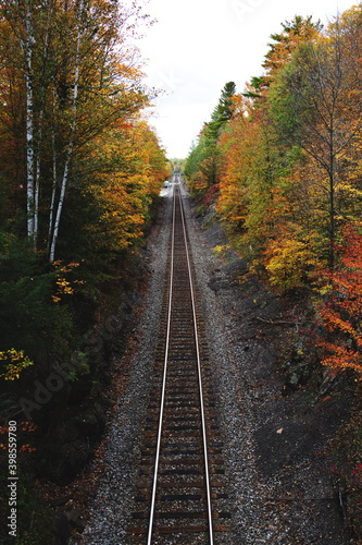 Railroad tracks leading through a forest filled with the changing colors of Autumn in Ontario  Canada.