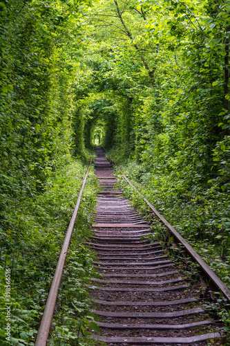 Love Tunnel, railway section in forest near Klevan, Ukraine. So named because, some people say, before by this way girls from a nearby village and soldiers from a former military unit went on a dates.