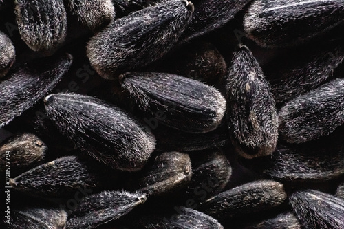 Fotografie Seeds, sunflower seeds close-up. Macro