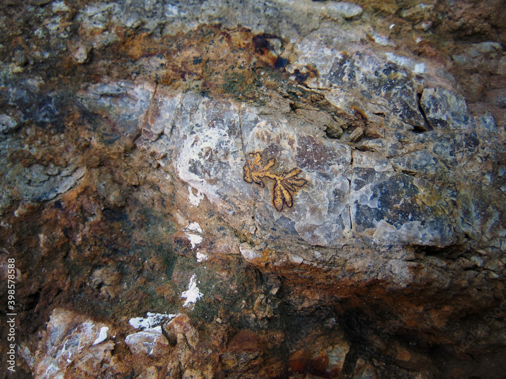 stone print stone print