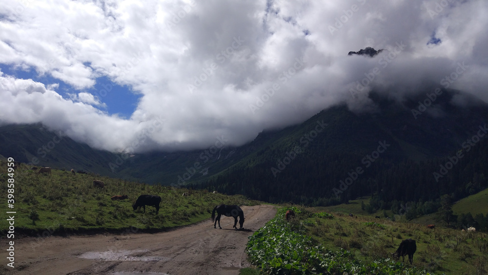 Mountains of the Caucasus. Travel to Arkhyz. Fascinating views