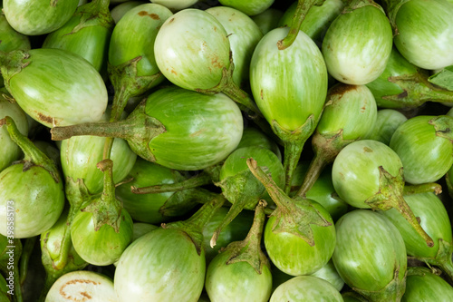 pile of green brinjal photo  pattern of vegatable in south east asia round eggplant background.