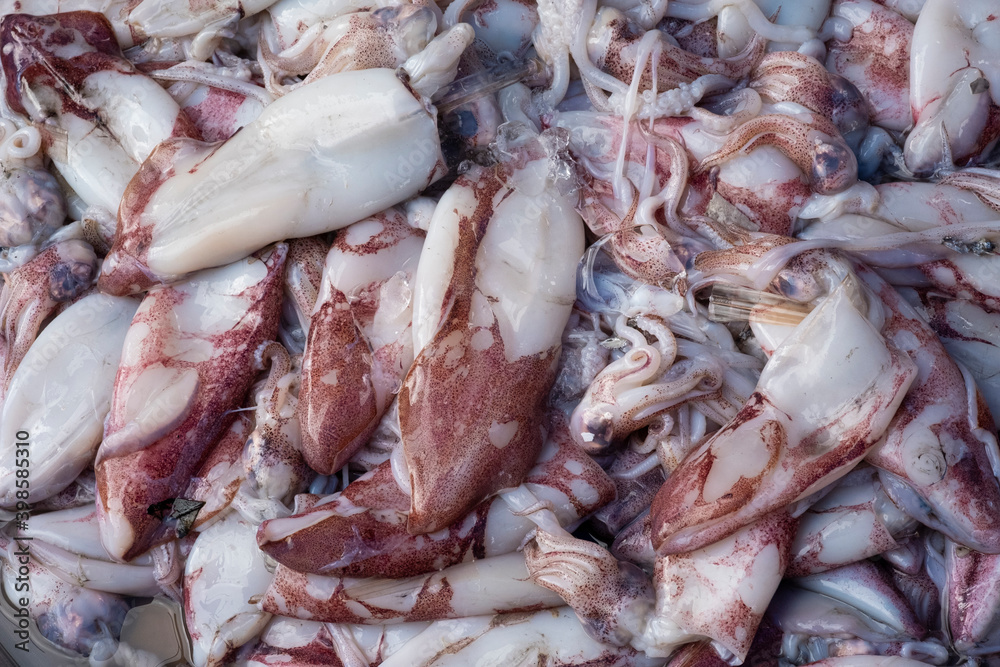 Fresh splendid squid background texture,Stack of splendid squid in market