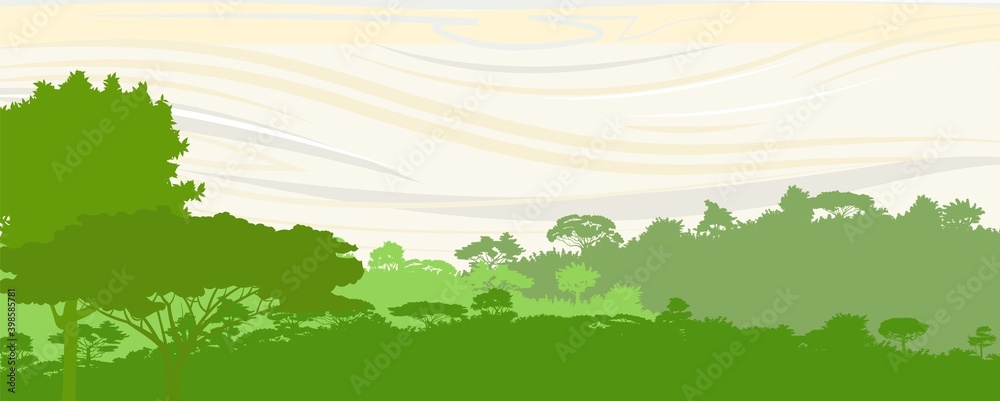 Deciduous forest. Silhouette. Mature, spreading trees. Thick thickets. Hills overgrown with plants. The sky is stylized with wood grain. Vector