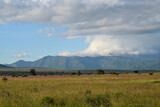 Scenic field against sky at Tsavo National Park, Kenya