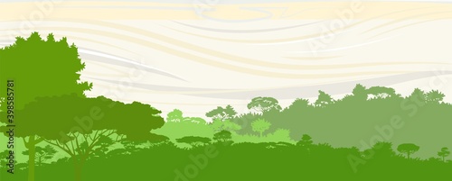 Deciduous forest. Silhouette. Mature, spreading trees. Thick thickets. Hills overgrown with plants. The sky is stylized with wood grain. Vector