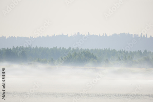 wild river bank with trees in morning fog