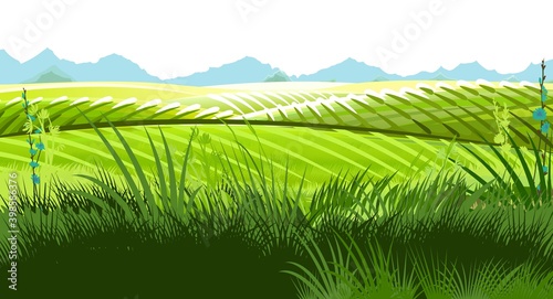 Hills and meadows. Haymaking in pastures. Agricultural land. Green grass. Mountains in the distance. Beautiful rural landscape. Isolated over white background. Vector