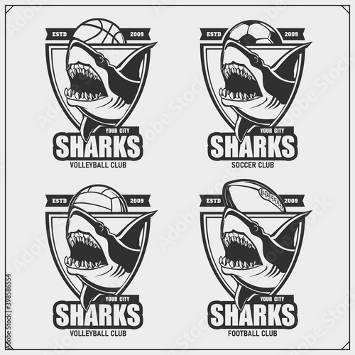 Volleyball, basketball and soccer logos and labels. Sport club emblems with shark.