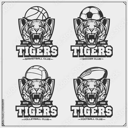 Volleyball, basketball, soccer and football logos and labels. Sport club emblems with tiger. Print design for t-shirt.