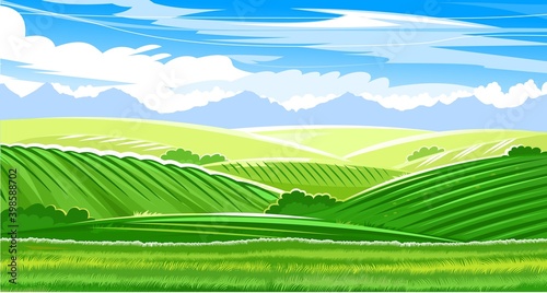 Beautiful rural landscape. Hilly meadows and pastures. Summer green scenery. Blue sky with clouds. Flat style. Vector