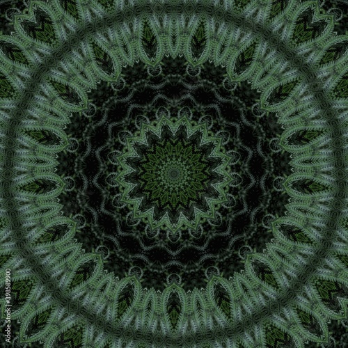 Fototapeta Naklejka Na Ścianę i Meble -  Green abstract fern leaf backgroudn with round shape