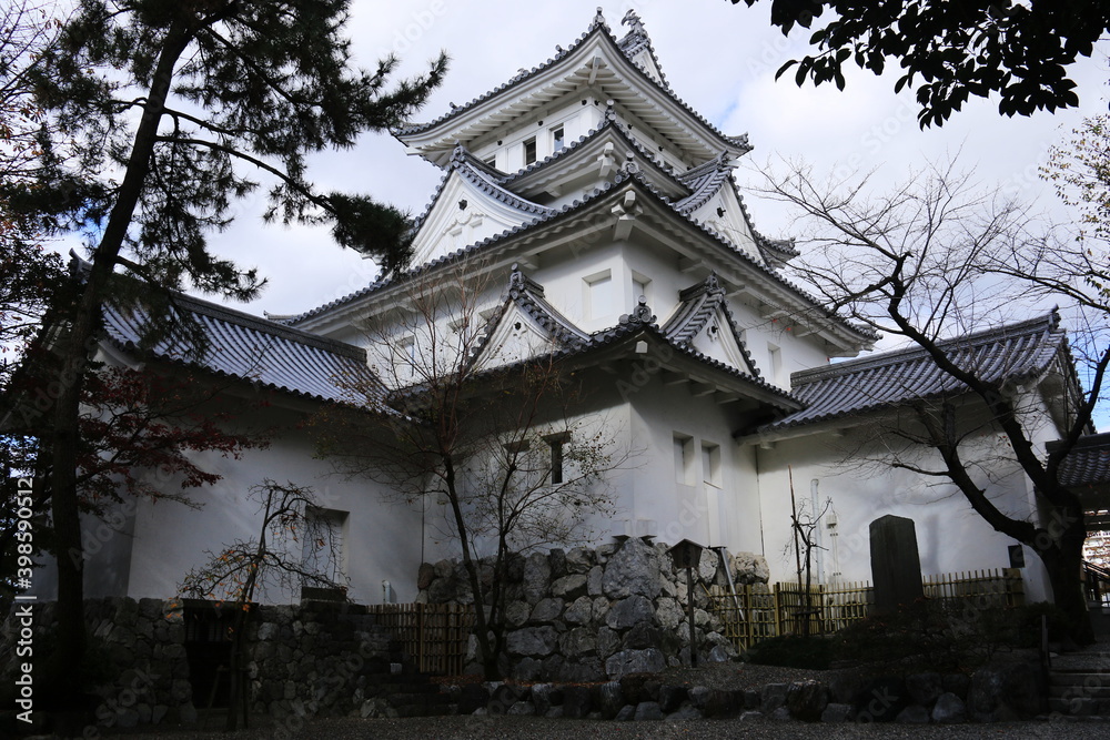 Fototapeta premium 晩秋の岐阜 大垣城