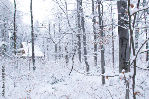 Fototapeta Naklejka Na Ścianę i Meble -  Zima w Zakopanem