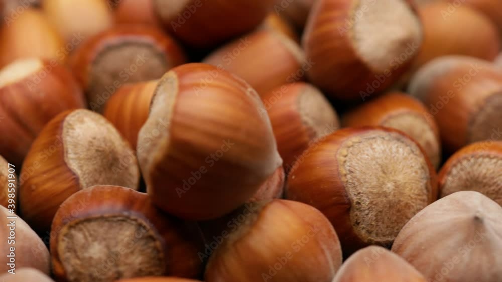 hazelnuts background (looping) hazelnuts background (looping)