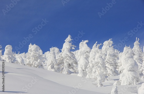 冬の風景 樹氷と青空
