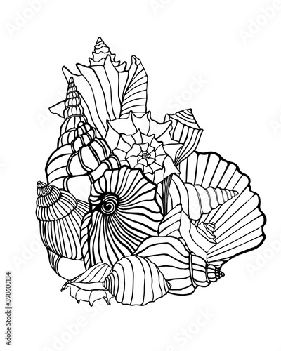 Doodle with seashells. Contours with sea clams. Line art with shellfish  nautical theme. Hand drawn print with sea life. Marine graphic illustration for coloring book.
