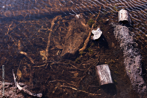 Wallpaper Mural lake  Torontodigital.ca