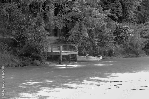 Small forest pond green with algae photo