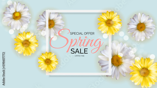 Promotion offer, card for spring sale season with spring plants, leaves and flowers decoration. Vector Illustration EPS10