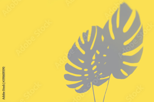 Illuminating yellow and ultimate gray - trendy colors of the year 2021. Vivid abstract background with monstera leaf shadow and copy space for text. Tropical concept and design element