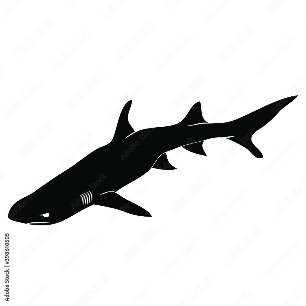 REQUIN 3