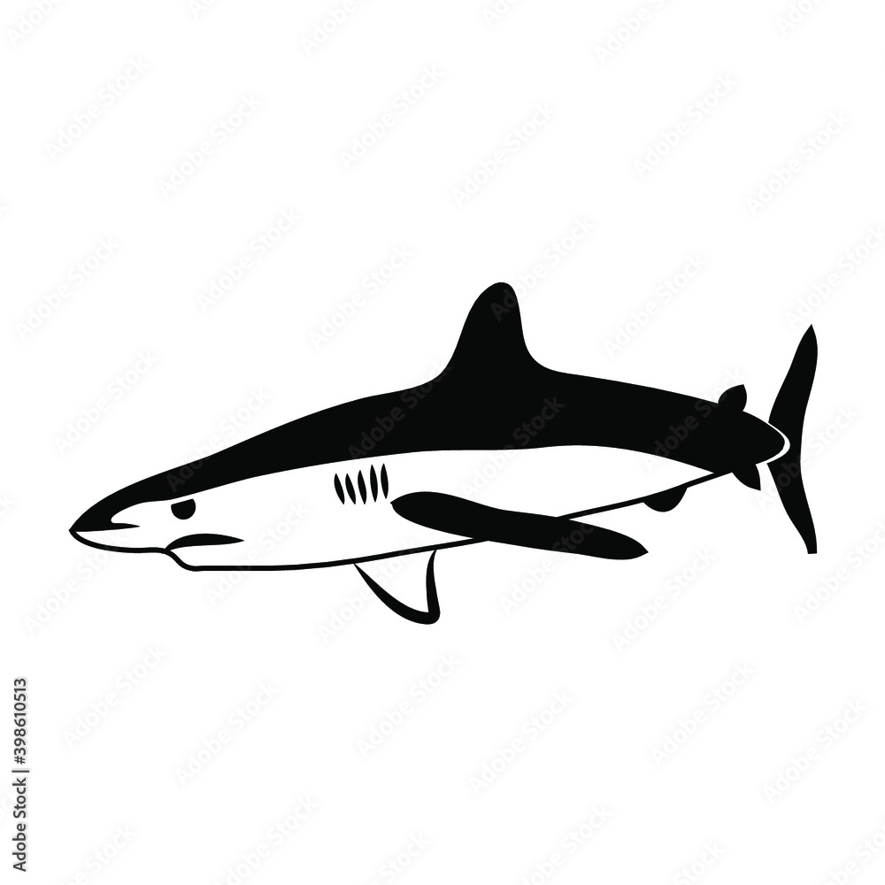 REQUIN 1