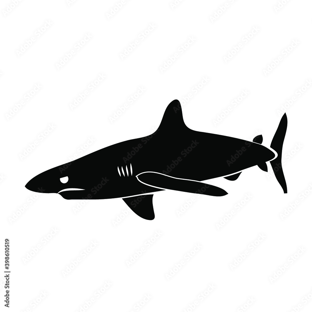 REQUIN 2