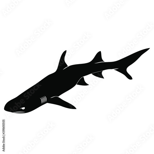 REQUIN 3