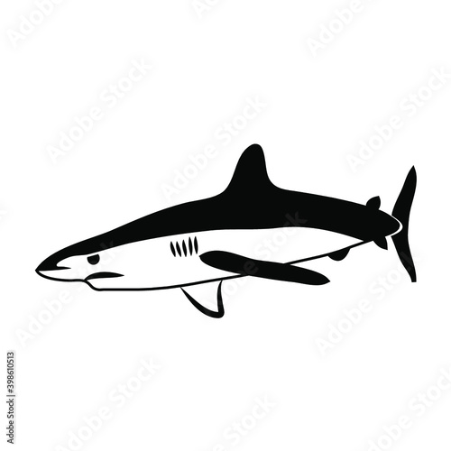 REQUIN 1