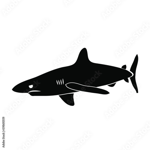 REQUIN 2