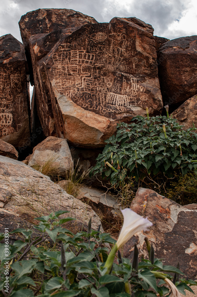 petroglyphs at grapevine canyon petroglyphs at grapevine canyon