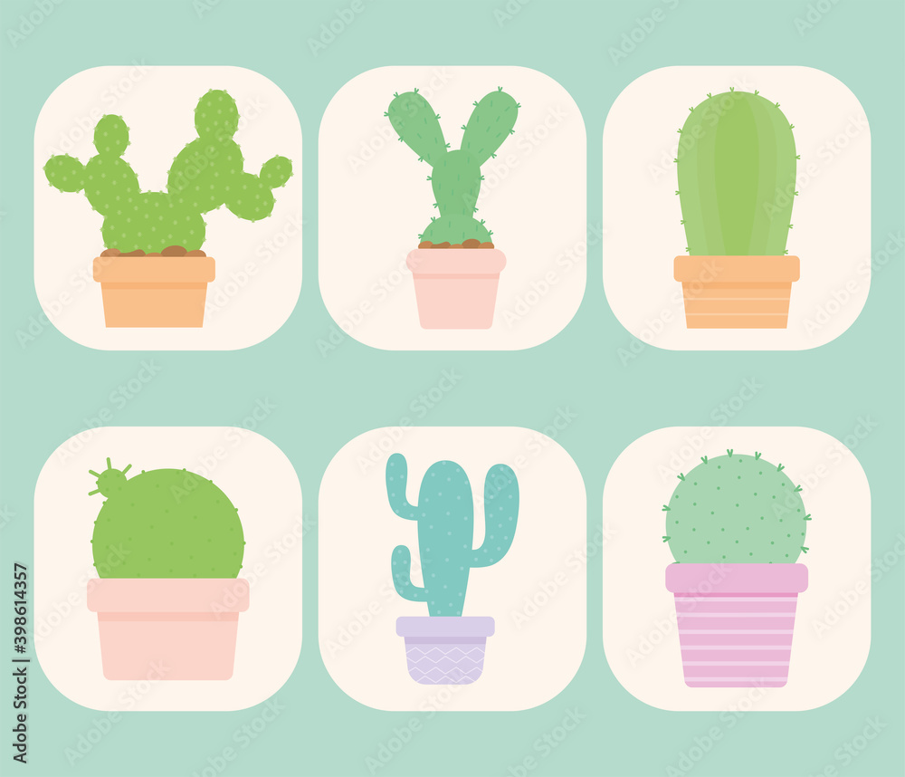 set of six cactus icons set of six cactus icons
