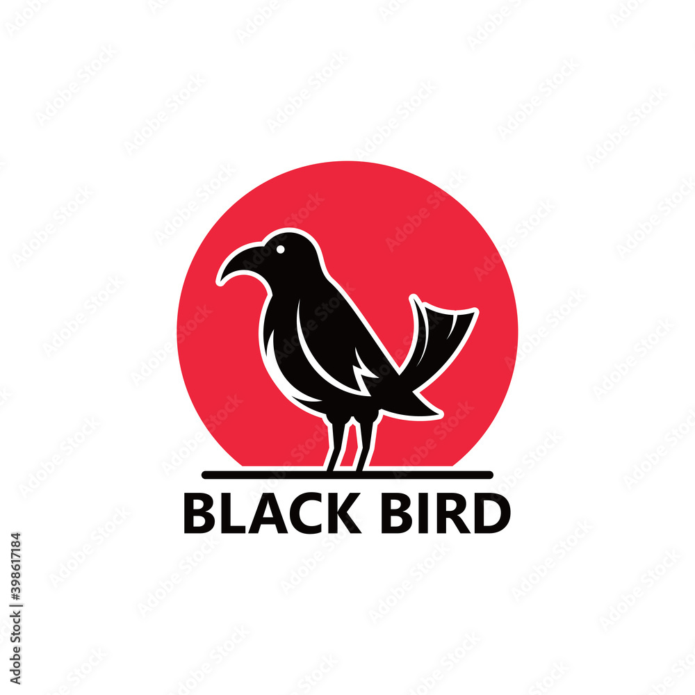 Black bird logo template design Black bird logo template design