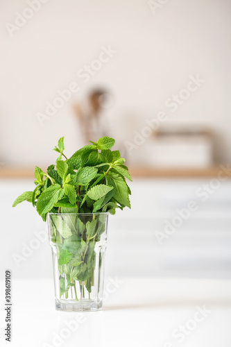 Glass with fresh mint on table in kitchen