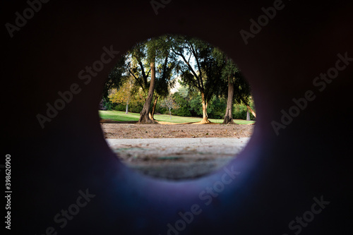 View on the lawn and trees through a hole