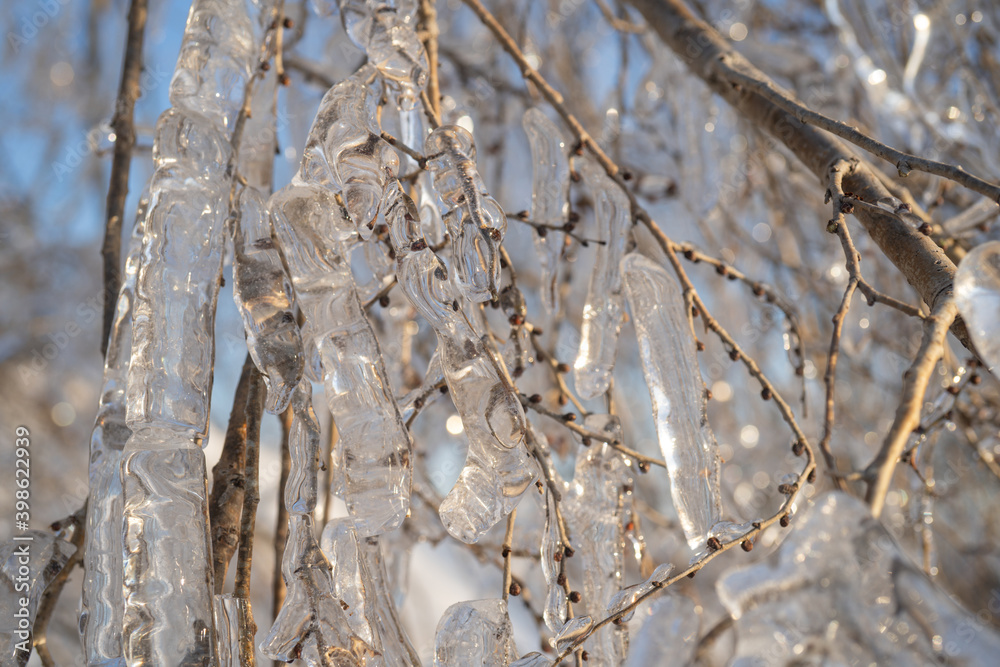 Natural background with ice crystals on plants after an icy rain. Natural background with ice crystals on plants after an icy rain.
