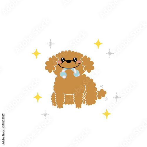 遊んでほしいプードル犬