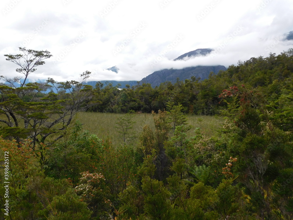 Fototapeta premium carretera austral