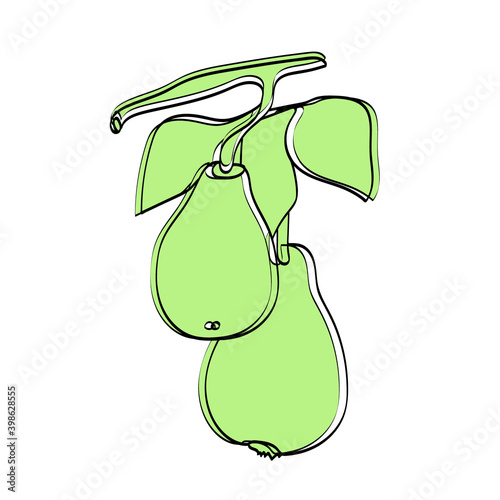 Vector image of an pear branch.Pattern: black and white graphics.