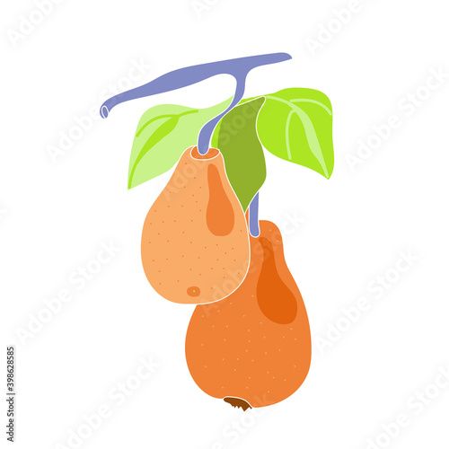 Vector image of an pear branch.Pattern: black and white graphics.