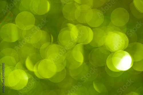 green bokhe,bokeh on nature abstract blur background green bokeh from tree ,Sunny green nature background, green blurred bokeh nature background