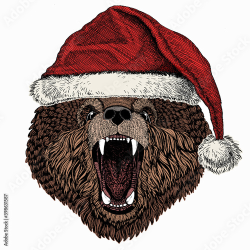Christmas winter animal. Bear wild animal face. Christmas red Santa Claus hat. Grizzly cute brown bear head portrait.