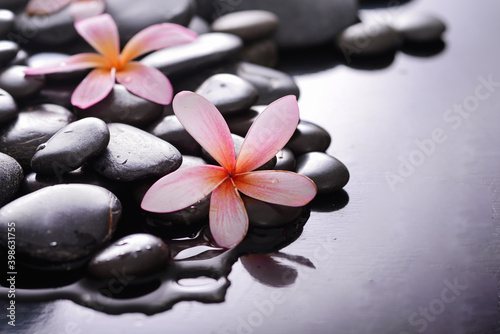 Beautiful two pink  frangipani and zen black stones  wet background 