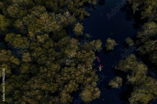 Aerial view of Travel Kayaking  Travel Paddling Transparent Canoe Kayak in peat swamp forest wetlands in evening time.